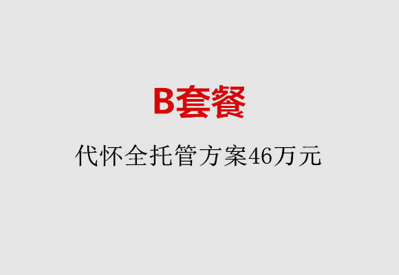 宁波B套餐：代怀全托管方案46万元